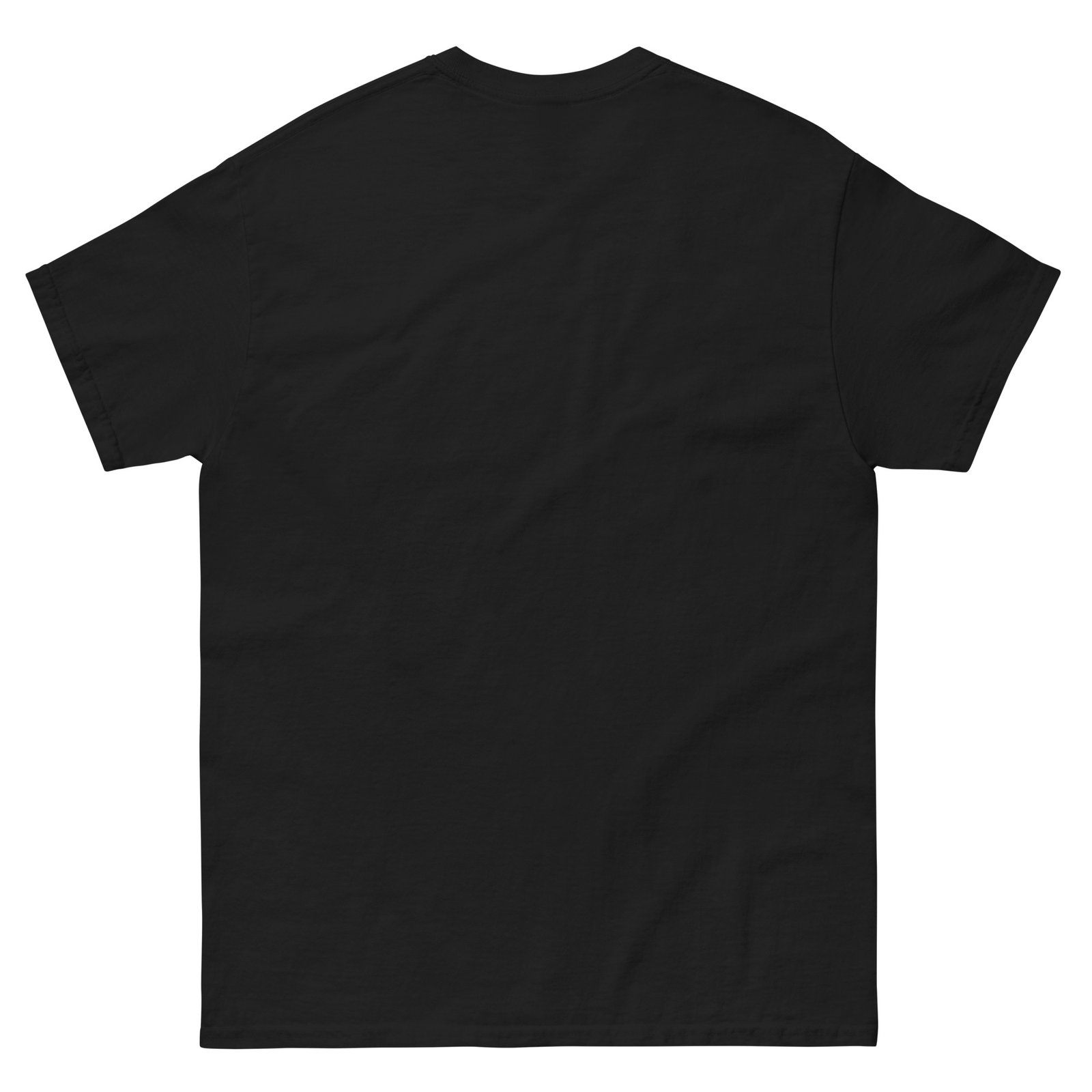 unisex-classic-tee-black-back-6769a5bd1e134.jpg