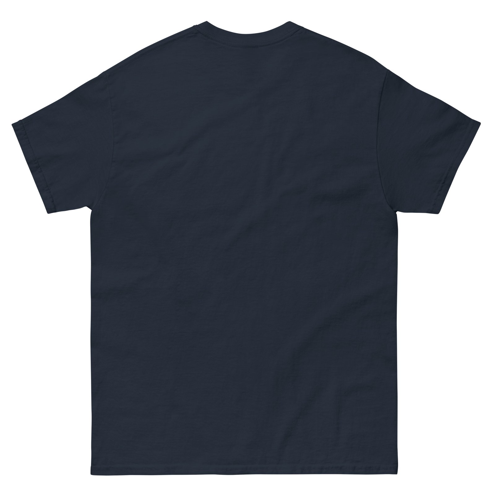 unisex-classic-tee-navy-back-6769a5bd20023.jpg