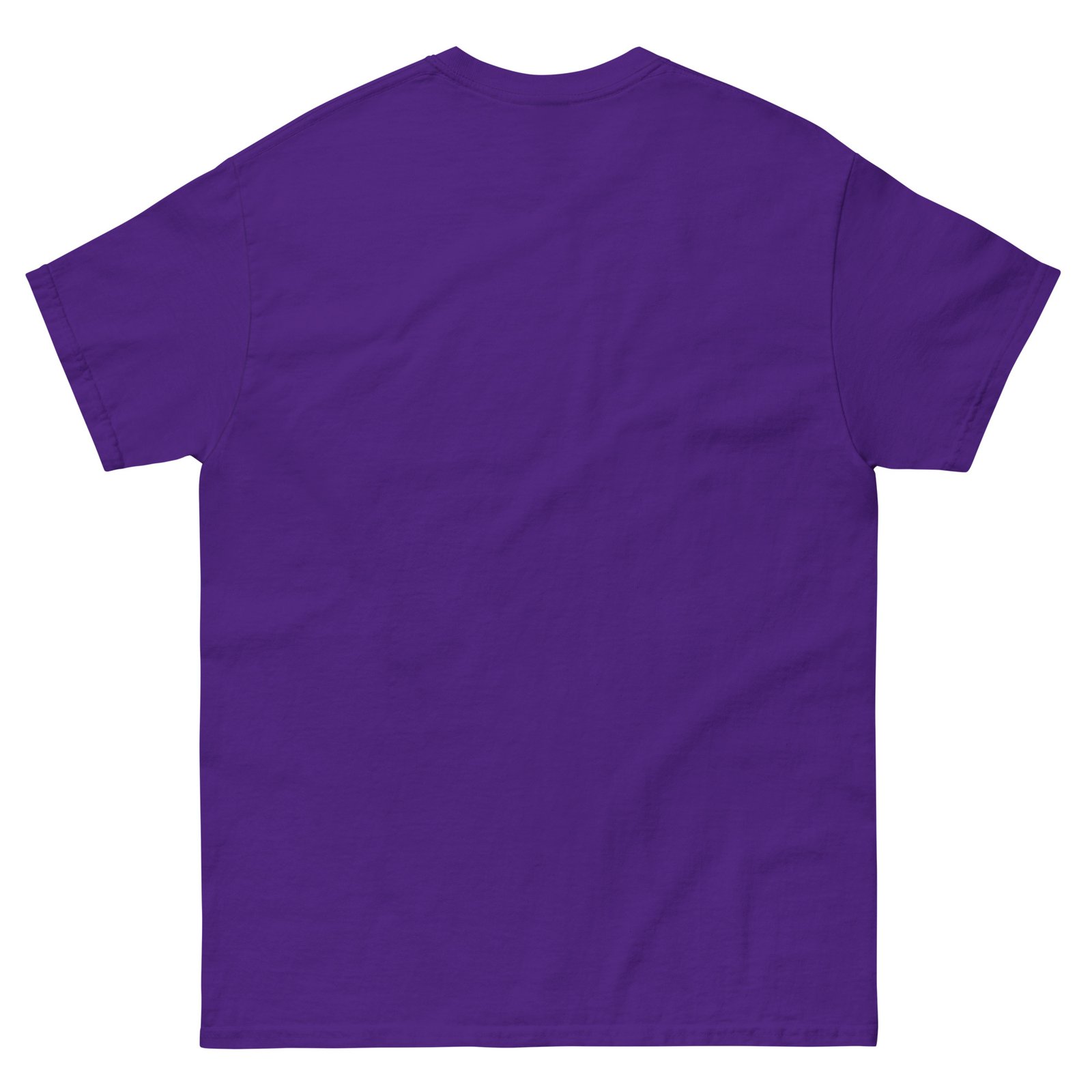 unisex-classic-tee-purple-back-6769a5bd23a56.jpg