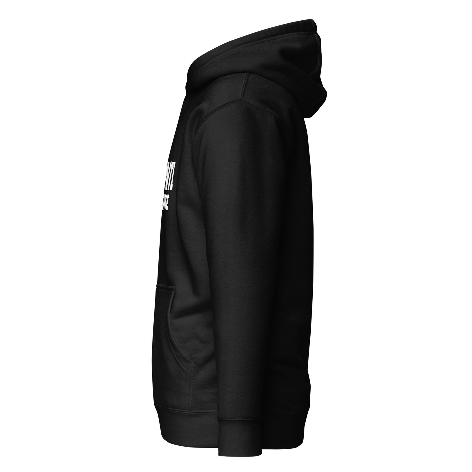unisex-premium-hoodie-black-left-6759433bd6fba.jpg