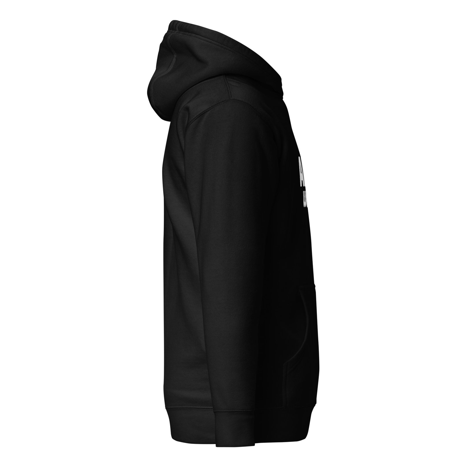 unisex-premium-hoodie-black-right-6759433bd78fb.jpg