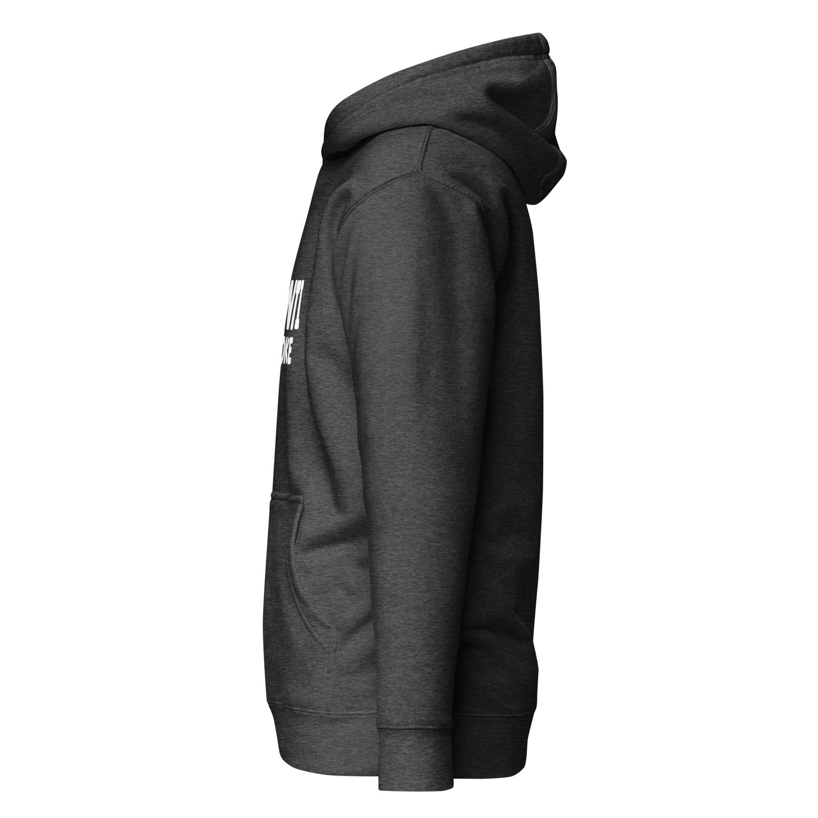 unisex-premium-hoodie-charcoal-heather-left-6759433bf2541.jpg
