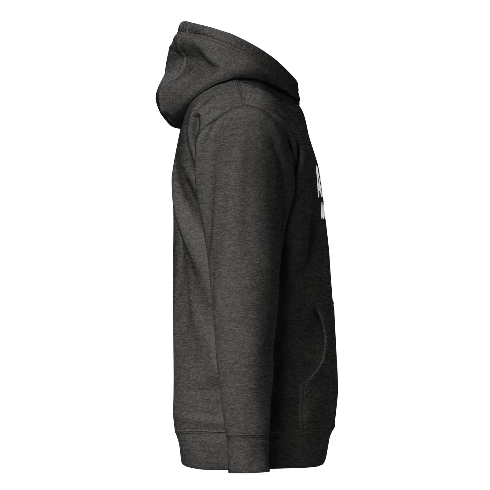unisex-premium-hoodie-charcoal-heather-right-6759433c01c42.jpg